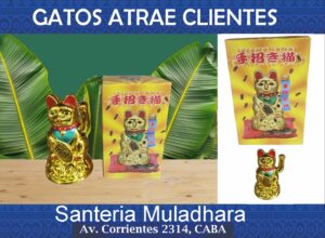 GATO ATRAE CLIENTES