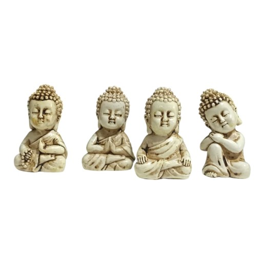 PACK BUDA X 4 UNIDADES (RESINA)