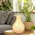 HUMIDIFICADOR FLORERO  15CM CON FILTRO LED MULTICOLOR