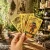 cOeWgYqsOEUghy7pIYvcacK2SzKp6ndnGl2VYh0m Tarot Raider Gold