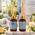 Difusor Aromanza de 60 ml