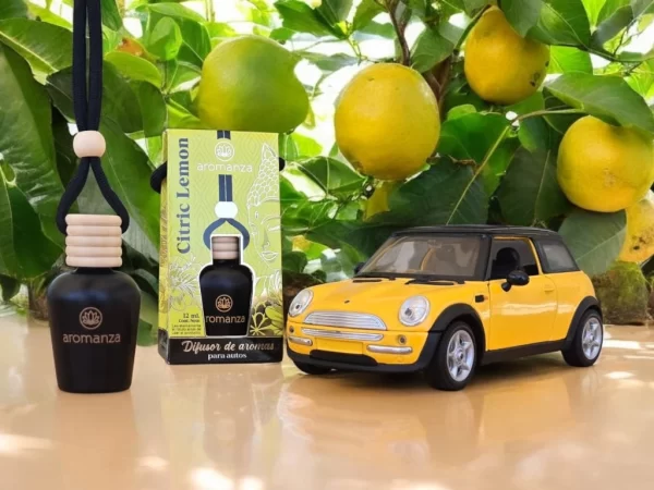 Difusor para Autos Aromanza 12 ml Btox24 surtido